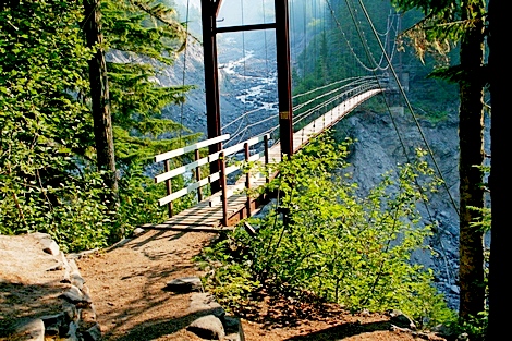Hanging bridge crossing Tahoma Creek on the Mirror Lakes trail